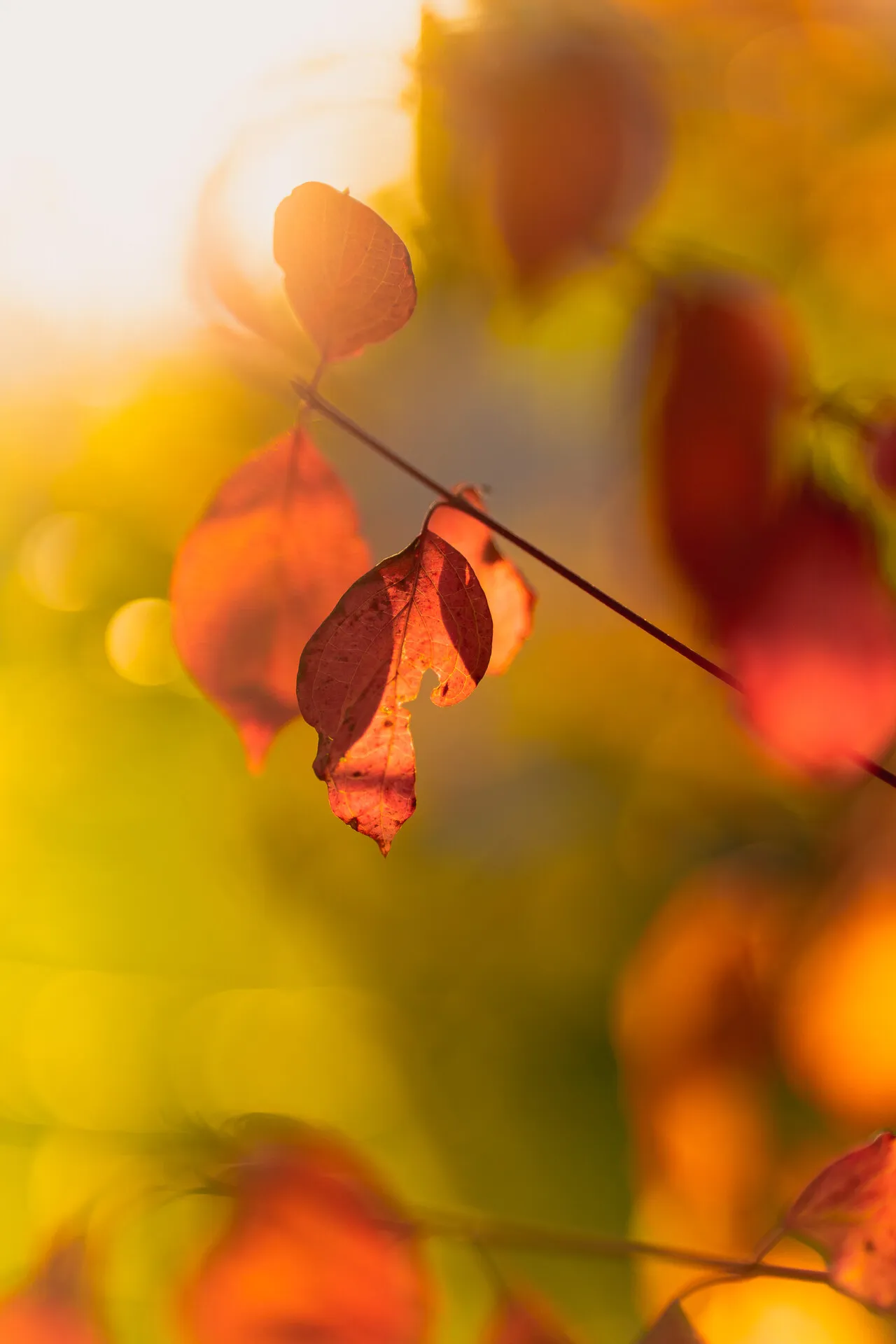 Photography sample 1