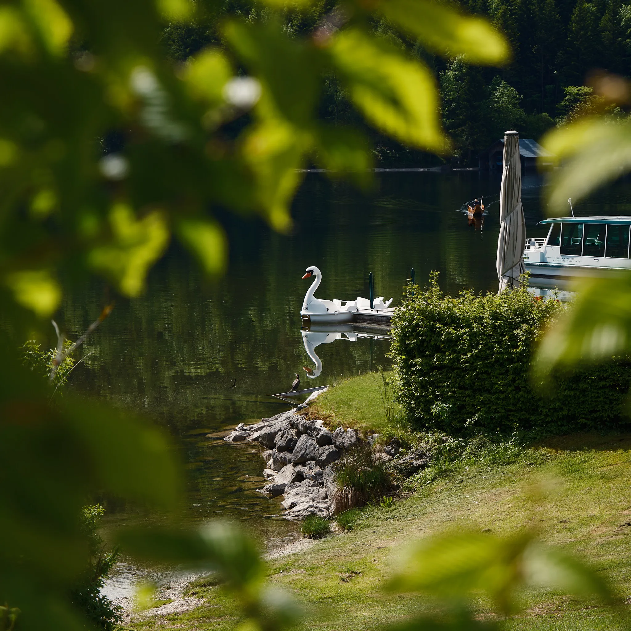 Photography sample 1